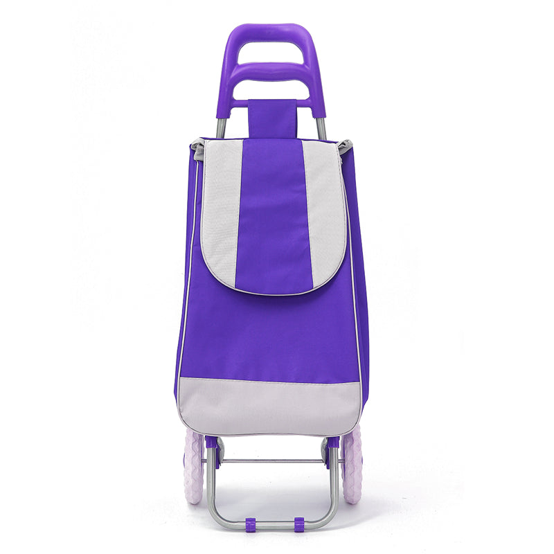CARRO DE COMPRAS PLEGABLE 30KG capacidad